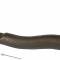 Proforged Left Outer Tie Rod End 104-10767