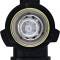 PHILIPS Headlamp Bulb 9012NGP