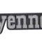 OER 1973-74 GM Truck "Cheyenne 10" Front Fender Emblem 328854